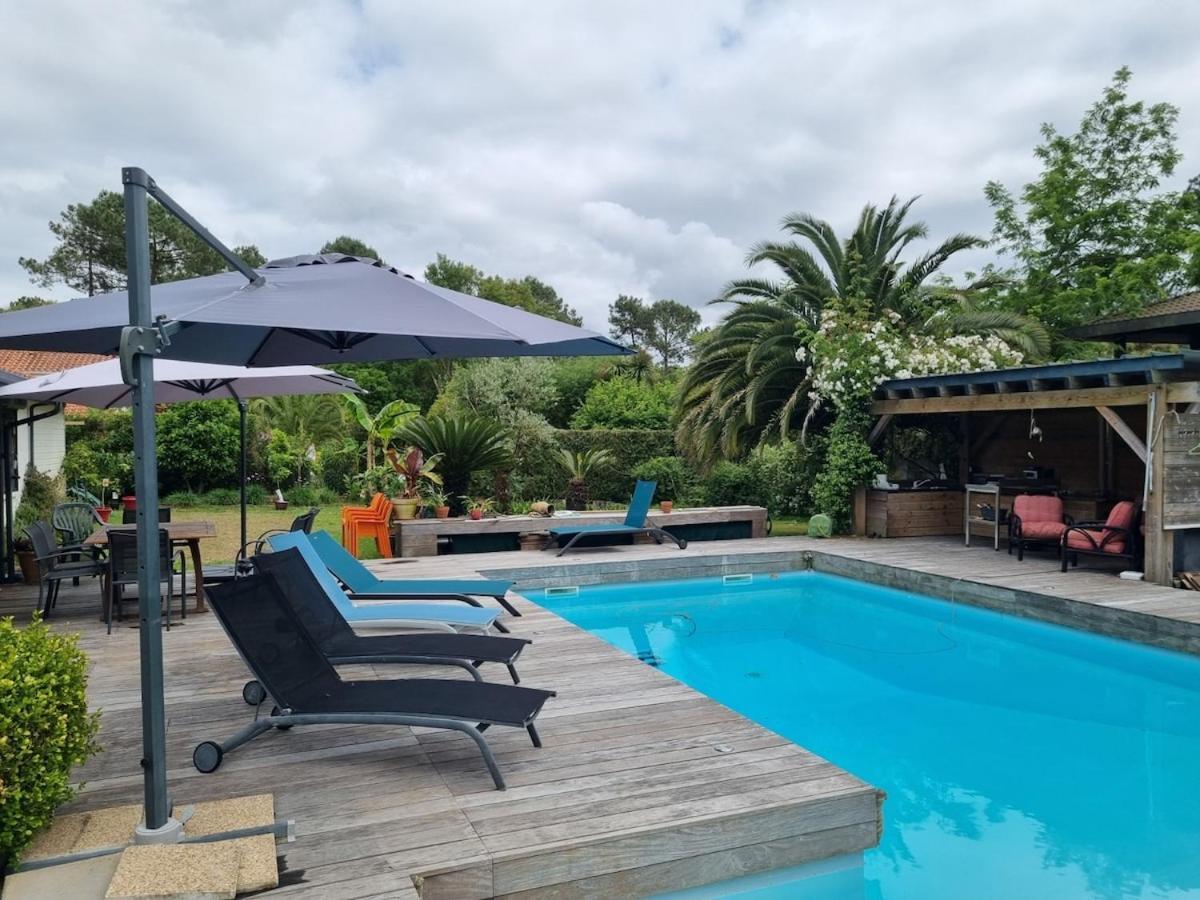 House With Heated Pool And Jacuzzi Villa Сорт-Осгор Екстериор снимка